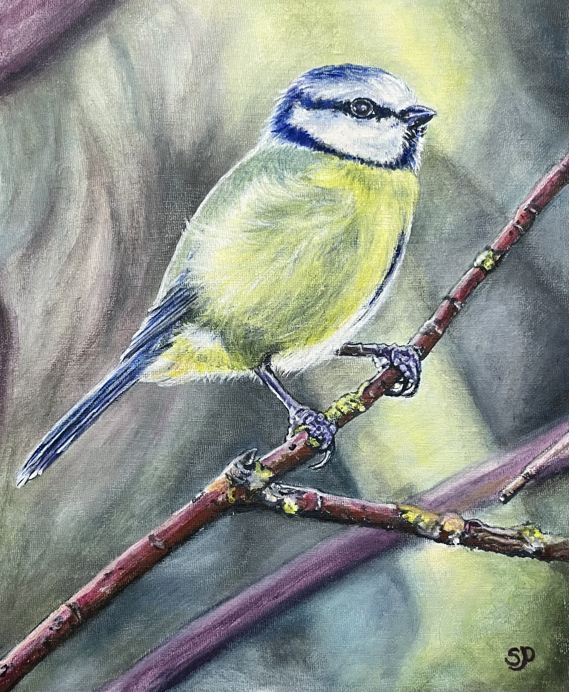 Sarah Pekins - Blue tit.jpg